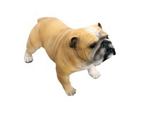 Statuina con imbottitura morbida Cane Bulldog inglese, 22 cm