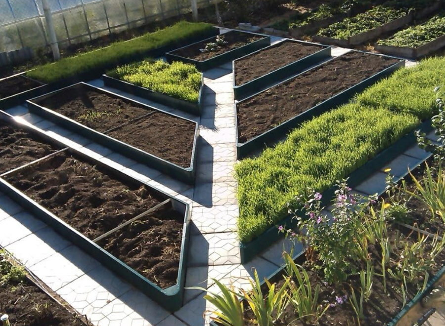 Piękny ogród warzywny z metalowymi łóżkami