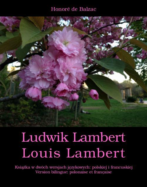 Ludwig Lambert. Louis Lambert