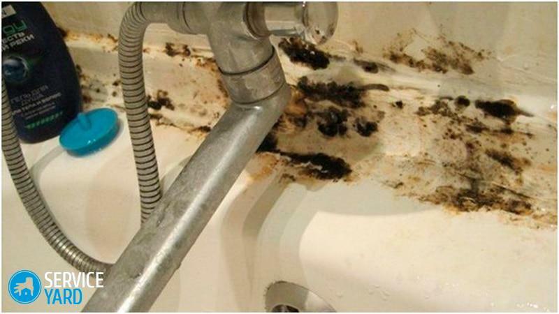Fungus dans la salle de bain sur le mastic - comment faire pour supprimer?