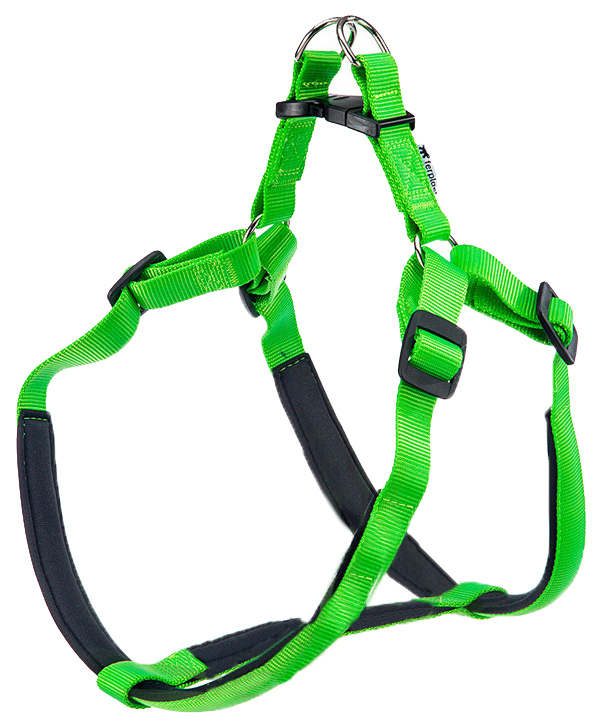 Ferplast Daytona Dog Harness (Large, Green)