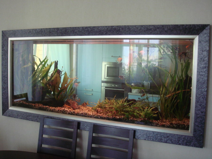 Gennemsigtigt akvarium i en tynd indvendig skillevæg
