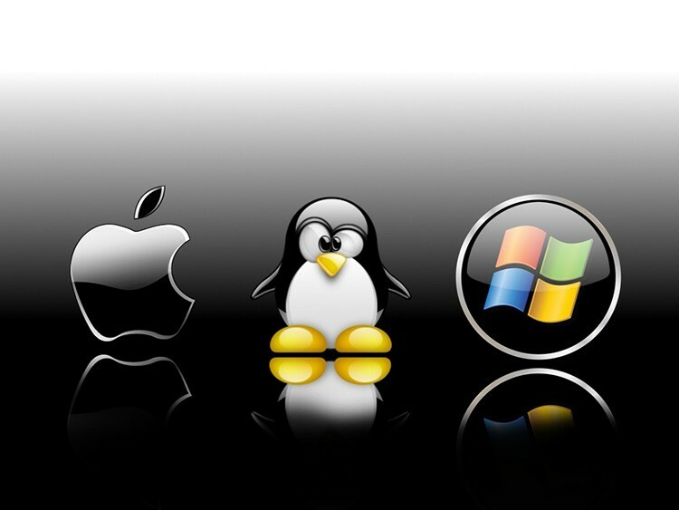 Opsætning af skærme i Linux ligner indstilling i Windows