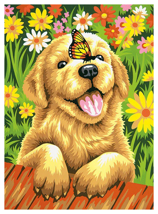 Pintar por número DIMENSIONES Jardinero cachorro DMS-73-91457 23x30,5 cm