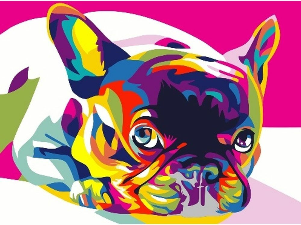 Festés szám szerint " Pop Art francia bulldog"