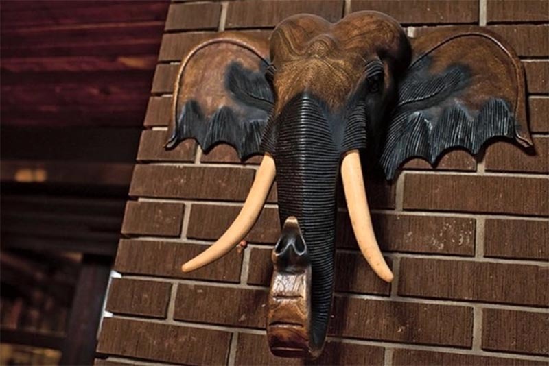 Vardagsrummet är dekorerat med ett oväntat konstföremål - huvudet på en elefant, som sonen tog med till skådespelerskan som en gåva från Thailand