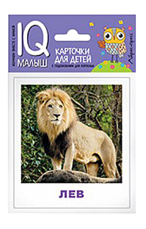 Koko perheen lautapeli Iris Press Animals of Hot Countries