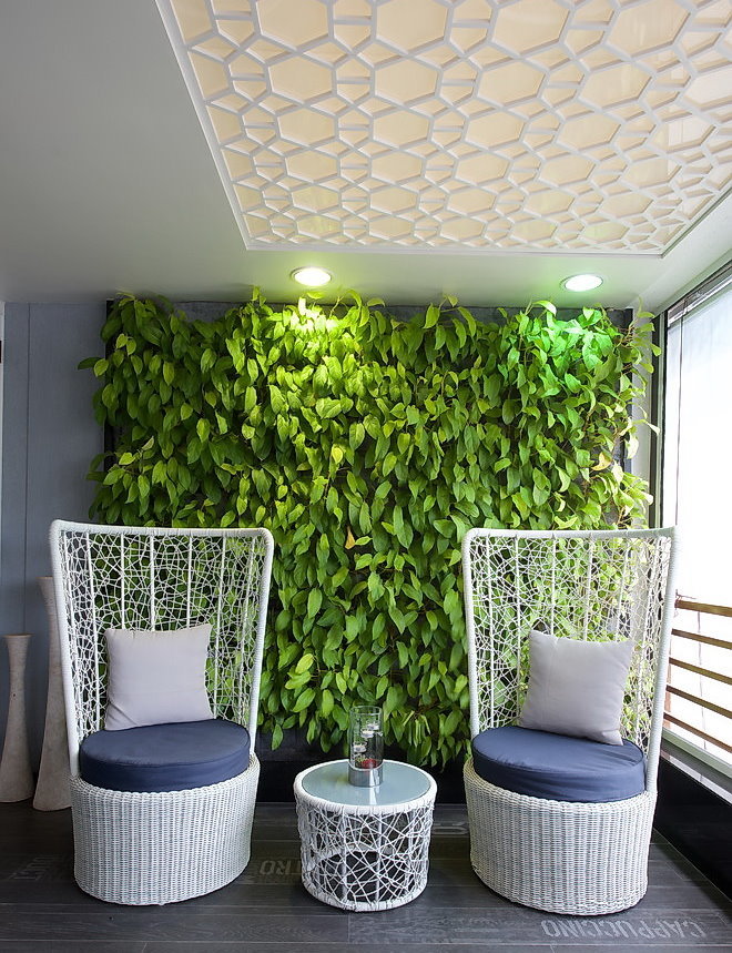 Fito siena iš šešėlį mėgstančių augalų buto interjere