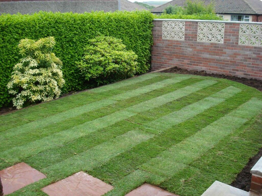 artificial turf how to choose