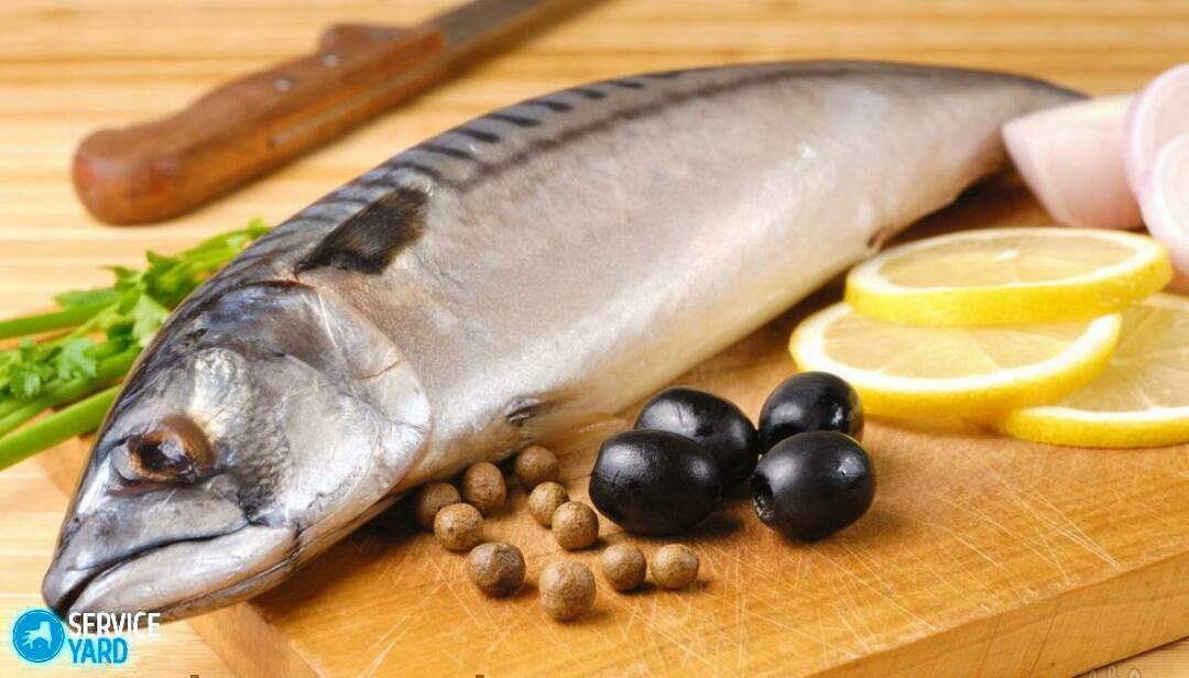 Jak se zbavit vůně ryb v hrnci?