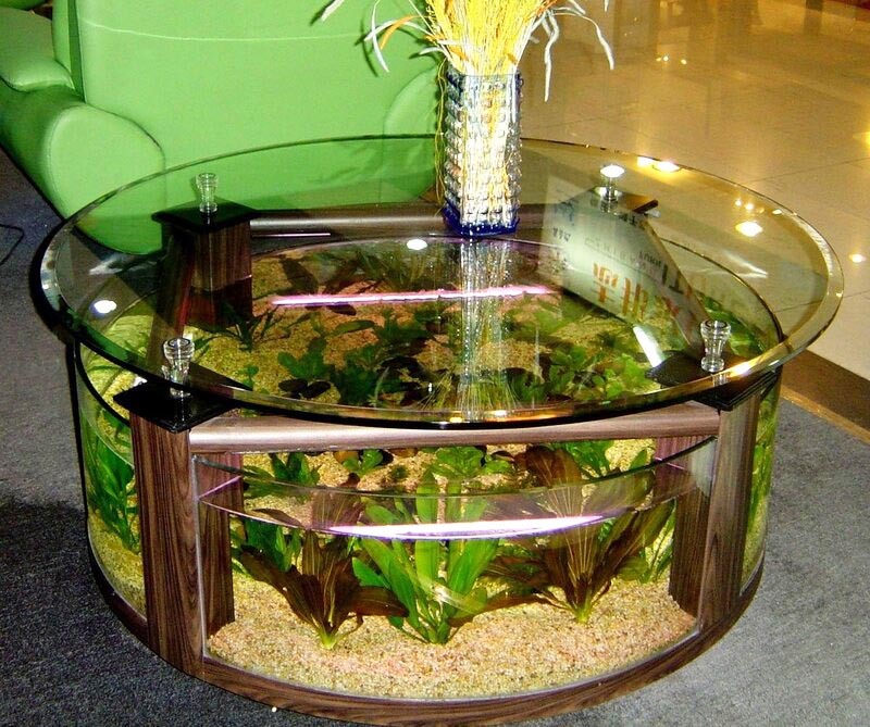 Le petit bassin en verre peut être une table basse