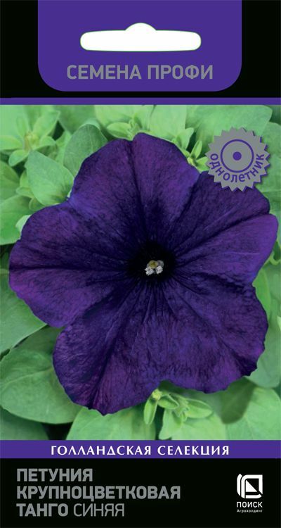 Petunia de flores grandes Semillas del profesional " Tango" azul, 16 g