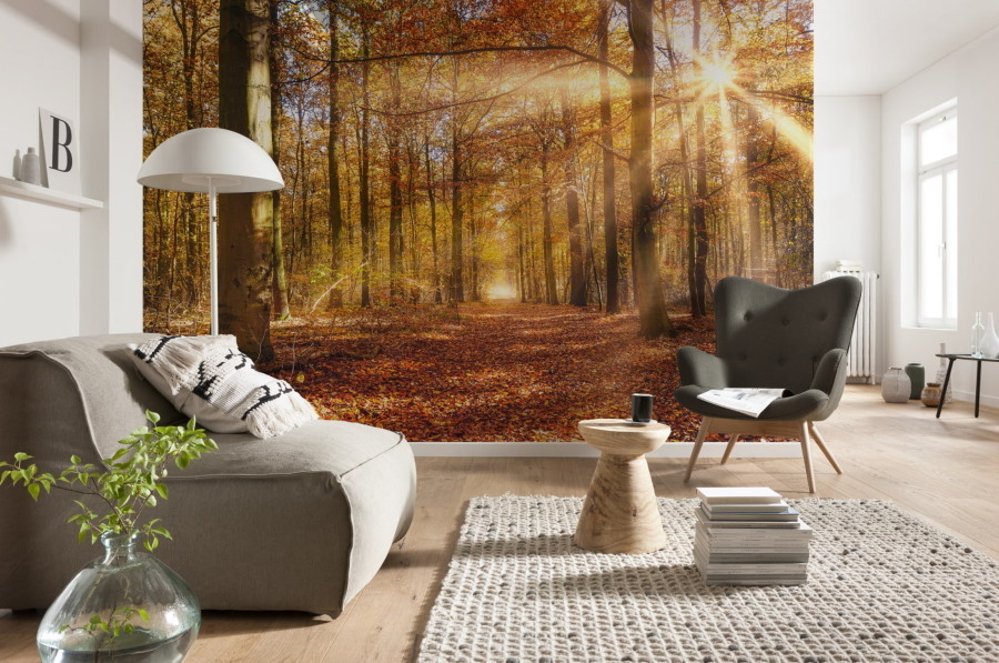 Sienas sienu rudens mežs dzīvojamās istabas dizainā