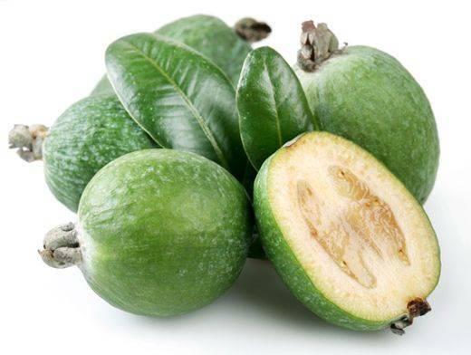 Cómo guardar feijoa en casa