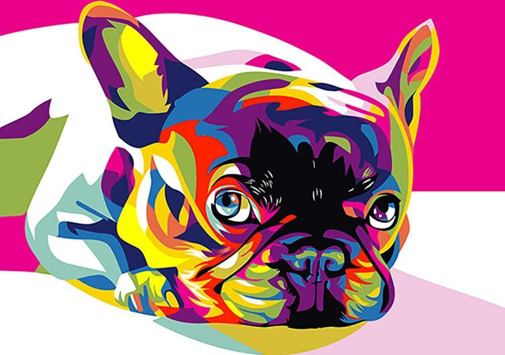Peinture par numéro " Rainbow French Bulldog"