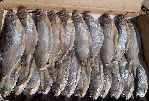 Ako uchovávať sušené a sušené ryby doma