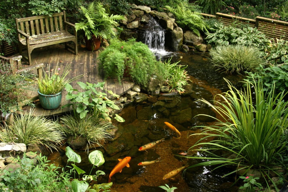 Wooden bench on a platform near the pond with fish