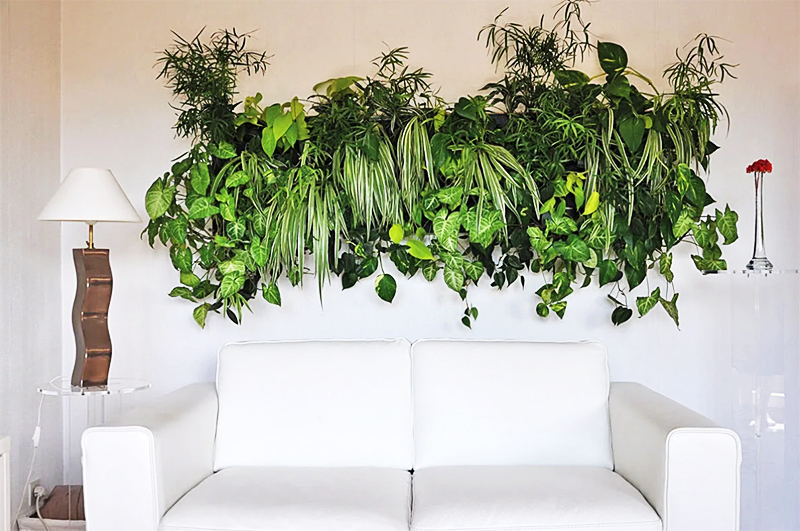 An der Wand ist ein Panel mit verschiedenen Grünpflanzen angebracht, das von einem Bewässerungssystem angetrieben wird