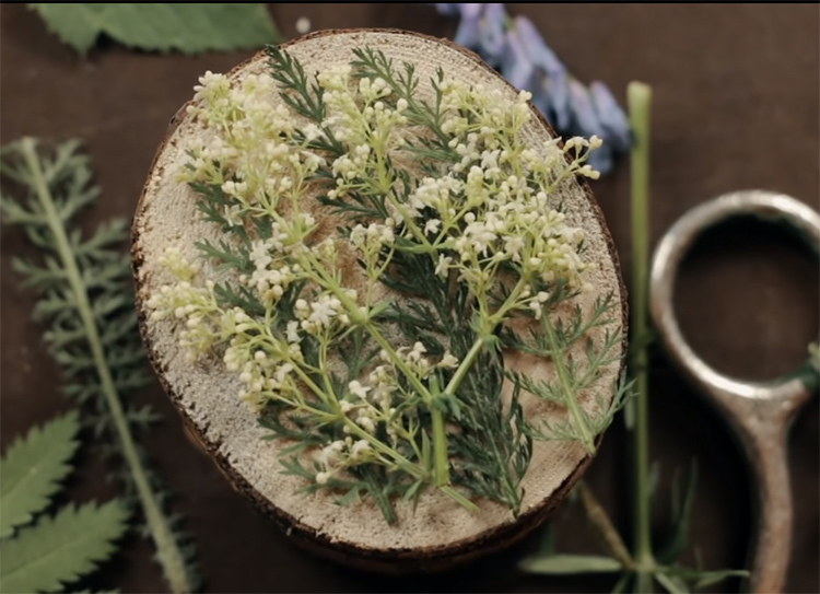 Tedd a „herbáriumi” a fedelet úgy, hogy egy jól átgondolt kompozíció. Használjon olyan területen a fű, virág szirmai. Adhatunk a készítmény gyöngyök vagy érmék és a kis kövek