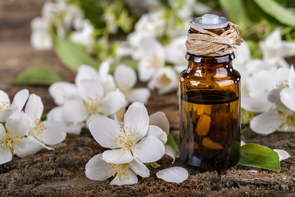 Jasmine essential oil in a pharmacy vial