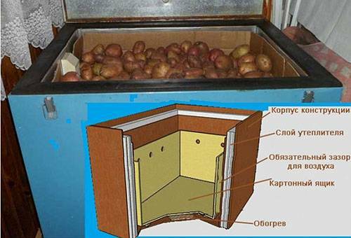 Thermo cabinet for storing vegetables: what to choose or make by yourself