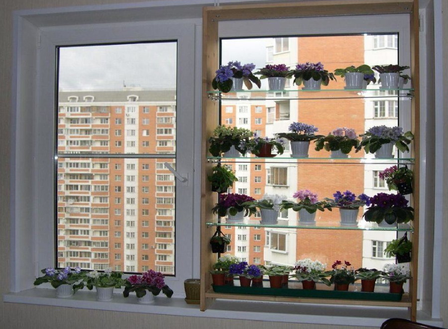 Fensterregale im Wohnzimmer einer Stadtwohnung