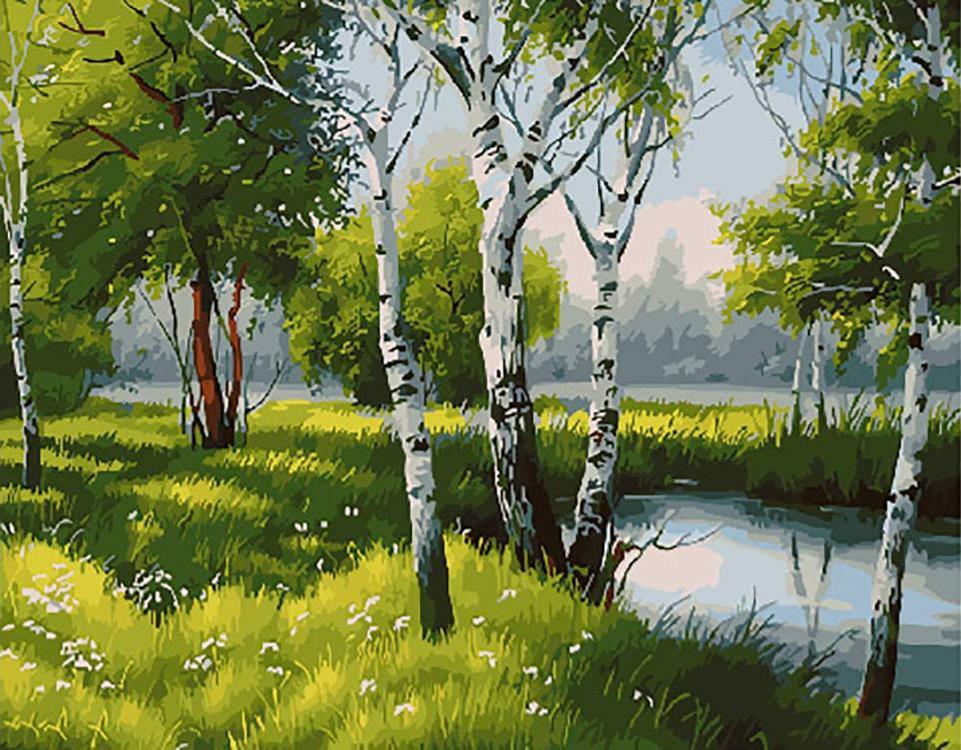 Peinture à numéro " Bouleaux au bord de l'étang"