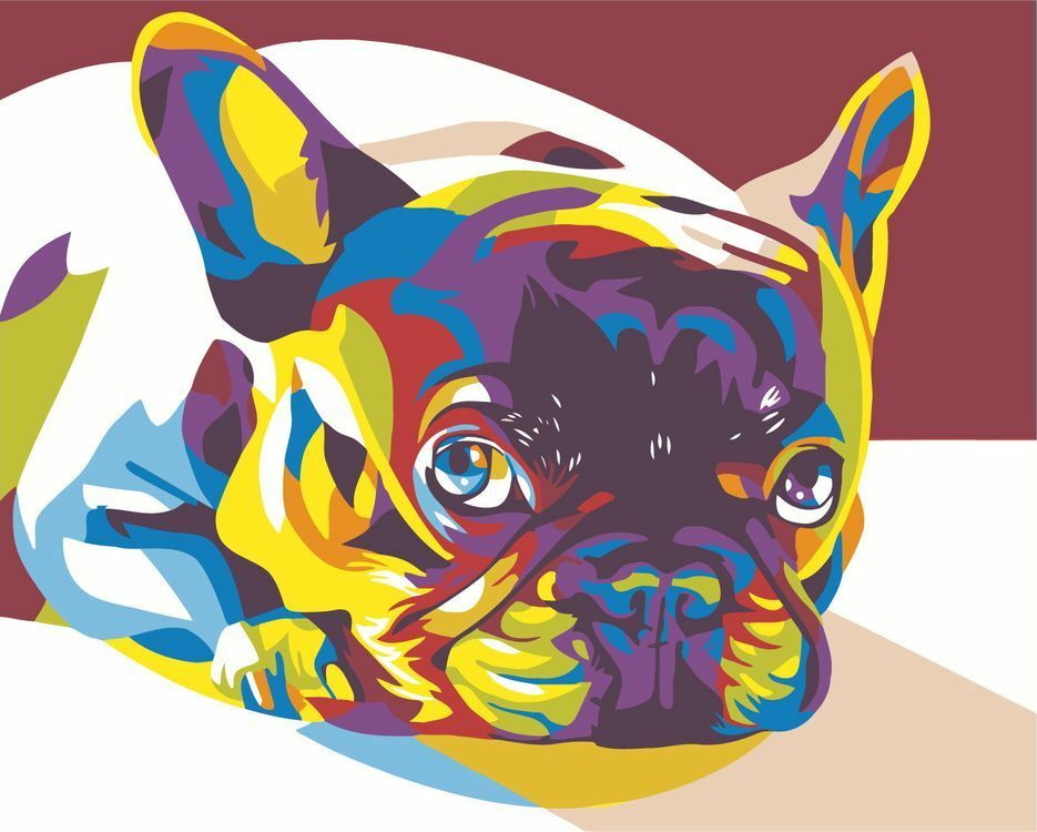 Festés szám szerint " francia bulldog"