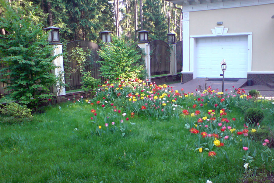 Cvjetni travnjak ispred garaže na mjestu
