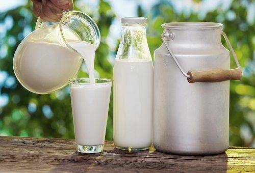 Opbevaring af mælk derhjemme: vilkår, regler, nuancer