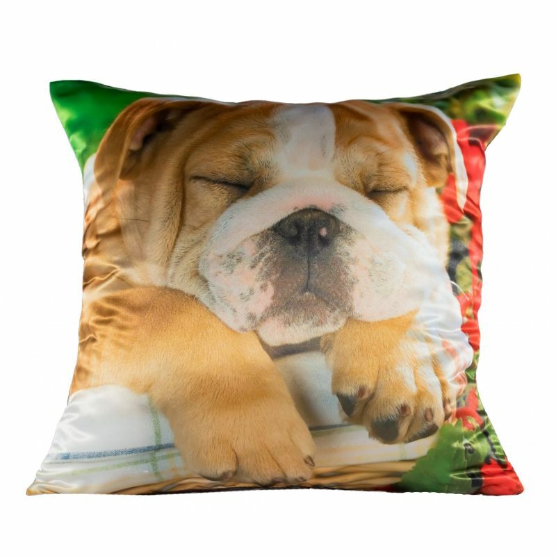 Pillow Bulldog 40x40 cm