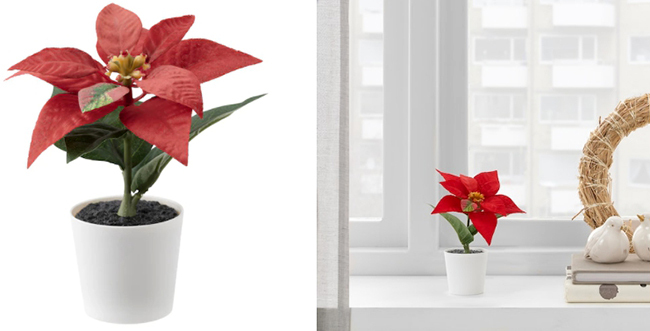 Dekorera ditt hem med underhållsfria blommor