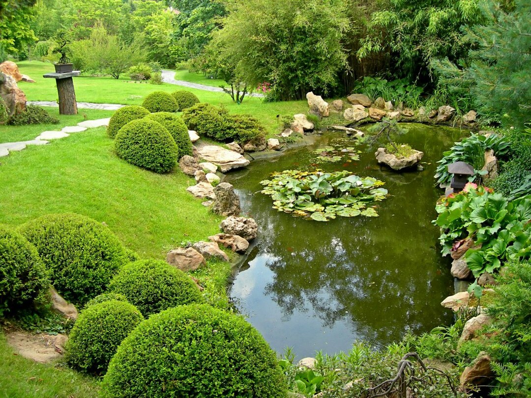 pond in the country design ideas