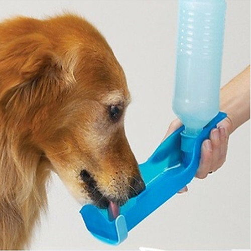 Tigelas e garrafas de água para gatos / cachorros Tigelas para animais de estimação e alimentos resistentes à água / portátil vermelho / azul / rosa