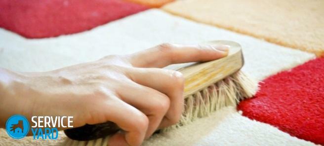 Hoe zich te ontdoen van de geur van kattenurine op het tapijt?