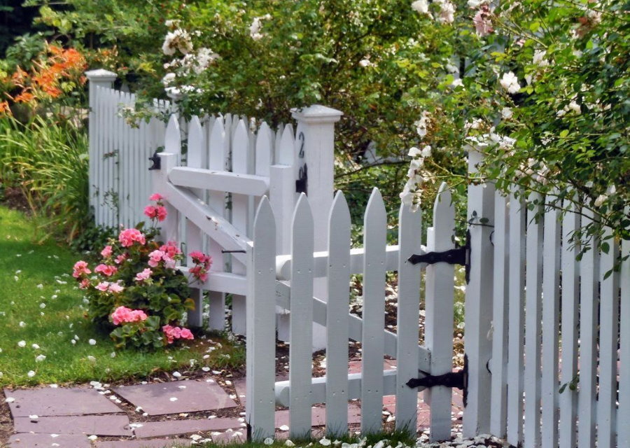 Low white picket fence out
