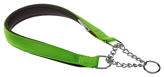 Halsbånd til hunde Ferplast DAYTONA CSS 50 cm х 2 cm Grøn 75239023