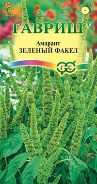 Saatgut. Amaranth Grüne Fackel (Gewicht: 0,1 g)