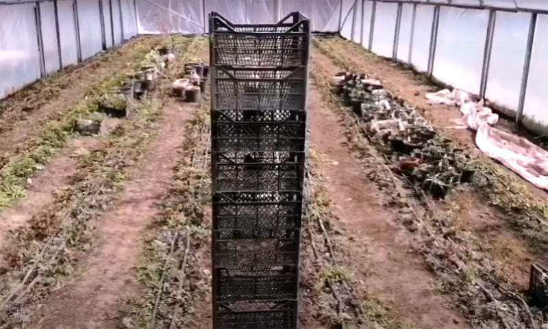 Viacúrovňový skleník pre sadenice