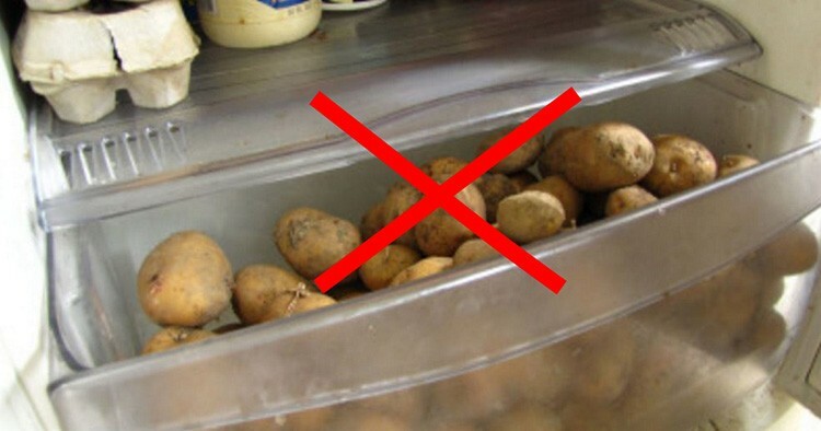 Večino živil lahko shranimo pri sobni temperaturi, zato jih ni treba hraniti v hladilniku