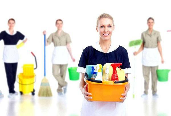 Herramientas de limpieza: descripción y reglas de uso