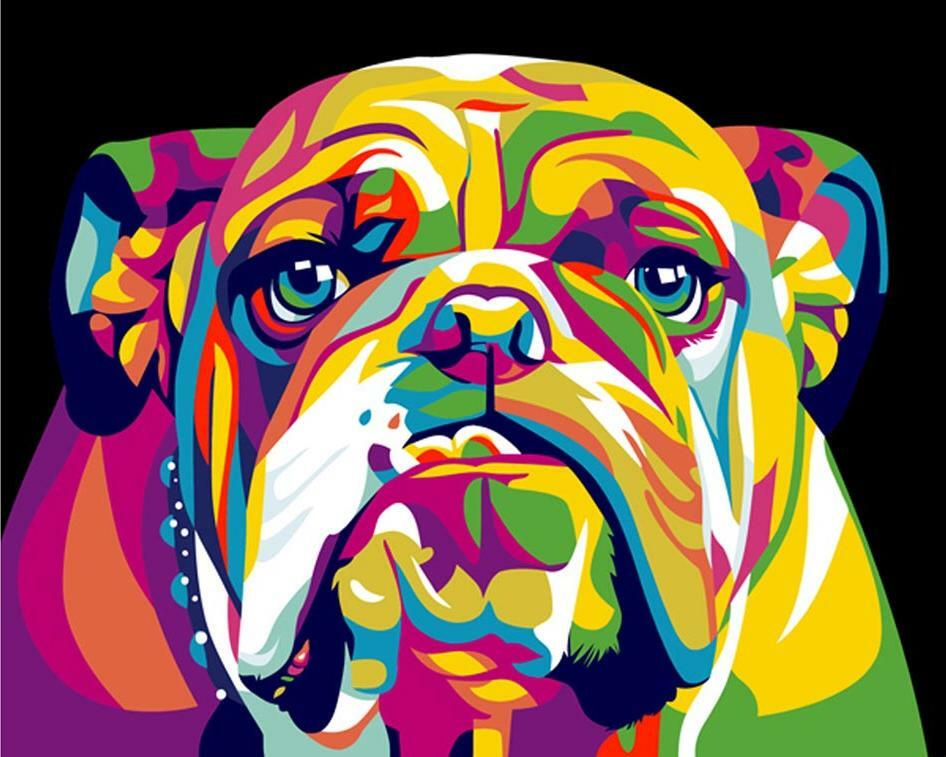 Pintar por número " Rainbow American Bulldog"