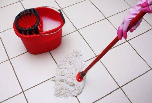 Limpador de piso - como escolher o produto certo?