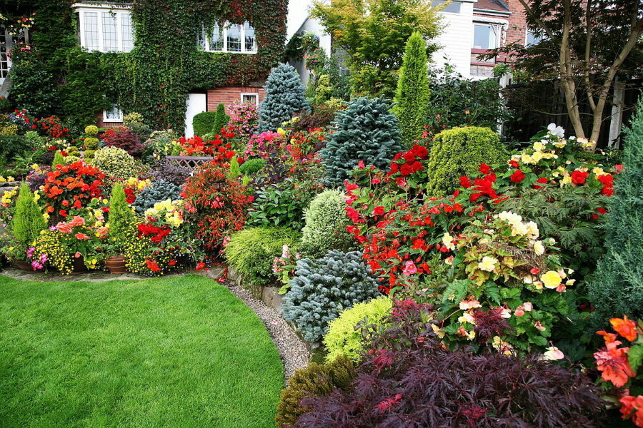 Mixborder with ornamental shrubs and flowers