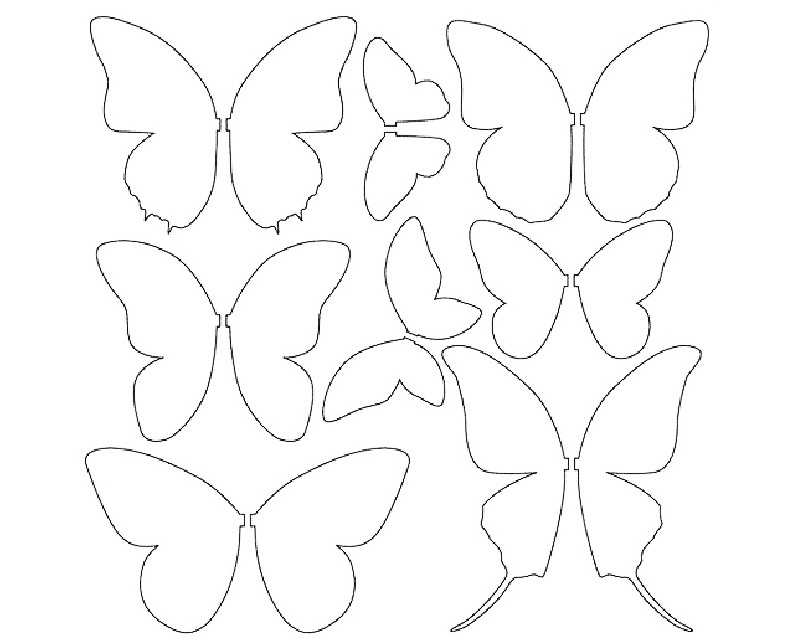 Vlinder patronen