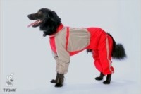 Sintepon -overaller för amerikanska bulldoghundar (tjej)