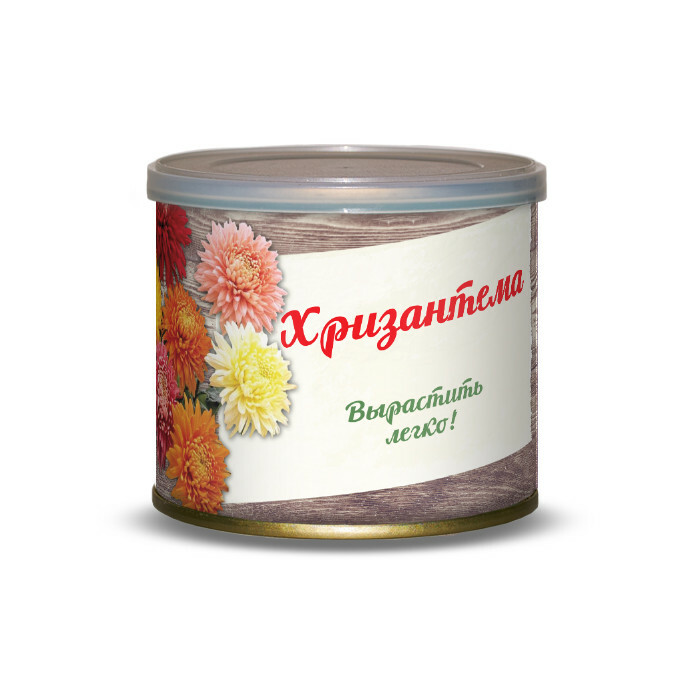 Planta BontiLand Crisantemo 411104