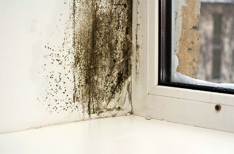 Fönsterområdet måste regelbundet torkas av med specialutrustning och ventileras
