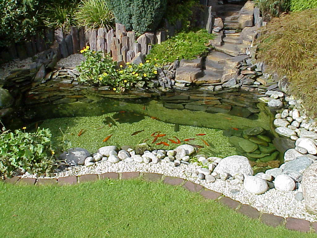 Un ejemplo de decoración con piedras en un estanque en el jardín.