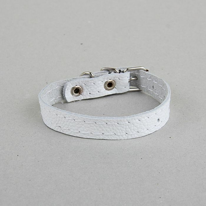 Enkellaagse leren halsband, 25 х 1,2 cm, wit
